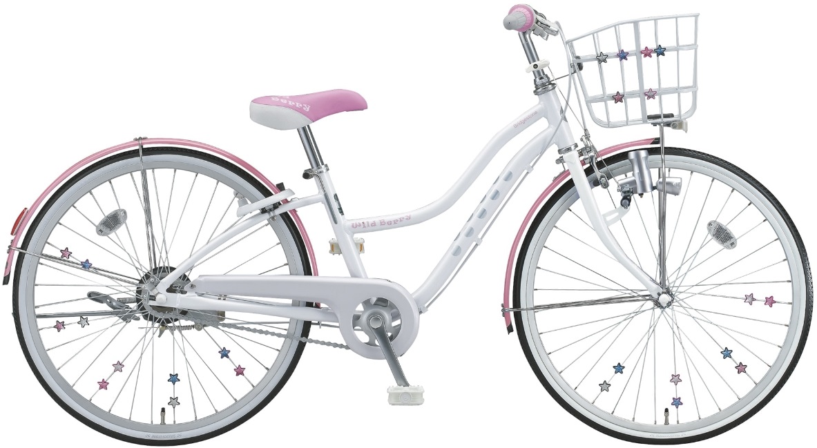 大人に恋するキラキラ自転車✨