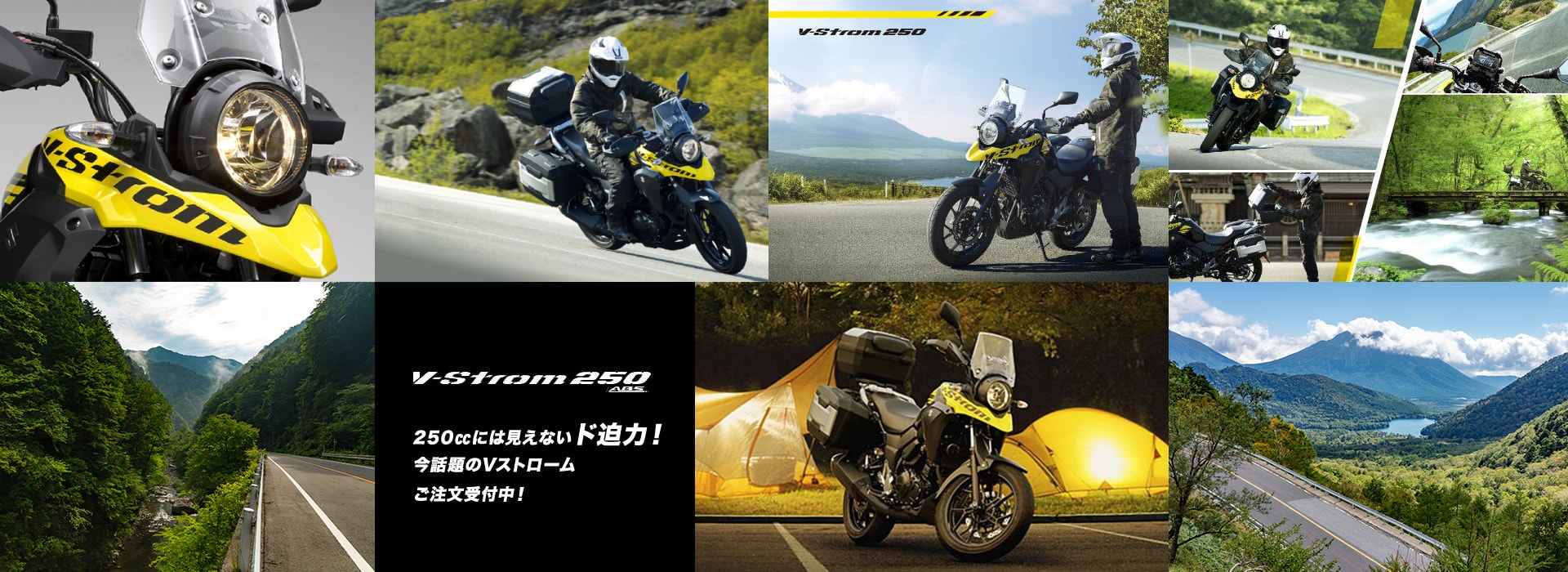 V-Strom250