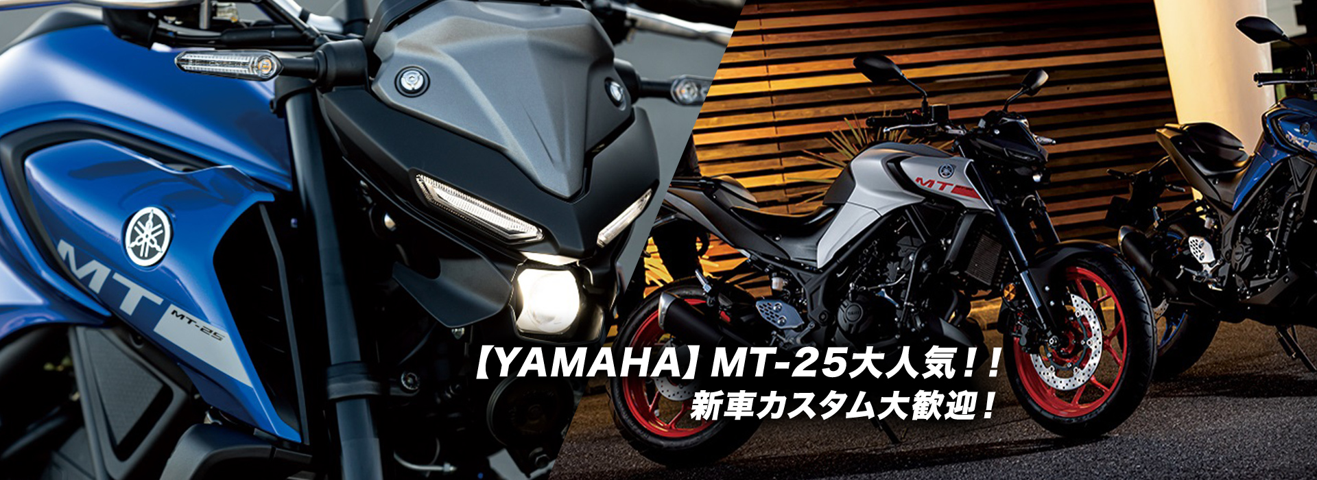 【YAMAHA】MT-25大人気！！