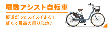 電動アシスト自転車