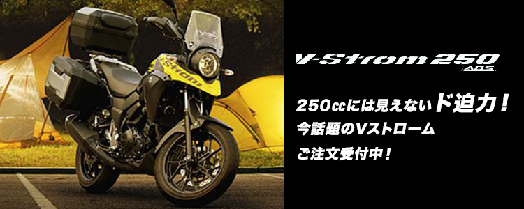 V-Strom250