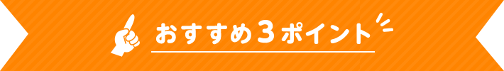 おすすめポイント